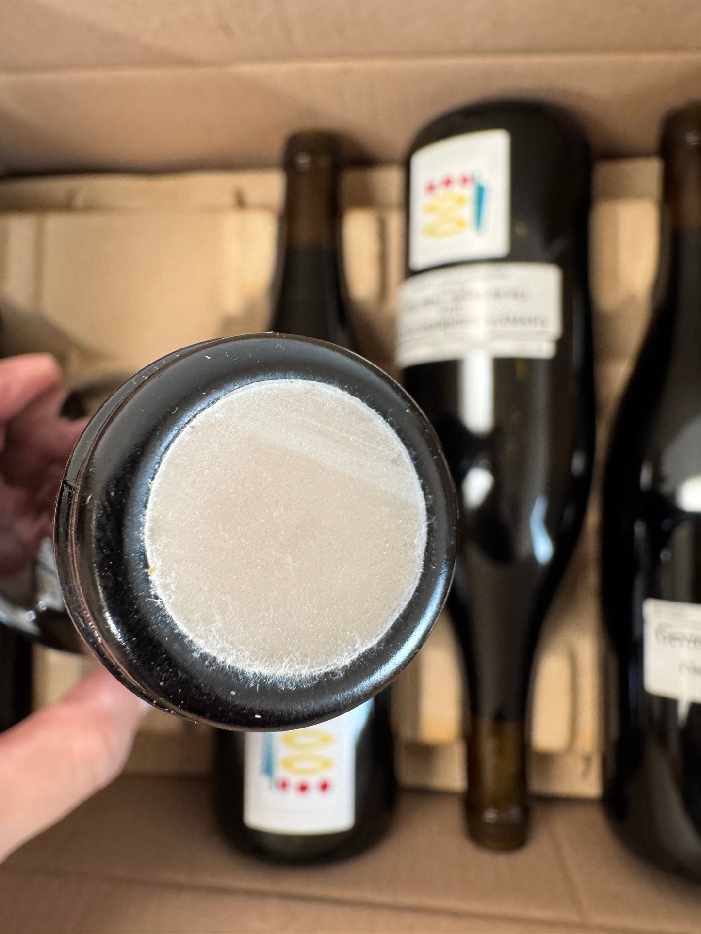 Prieure Roch Gevrey Chambertin 2021 (750ml)